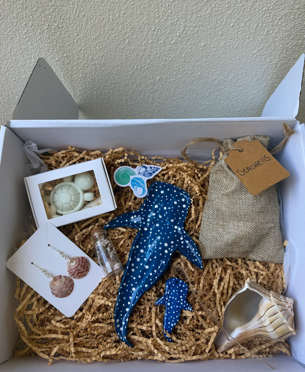 St. Pete Coastal Collection Box