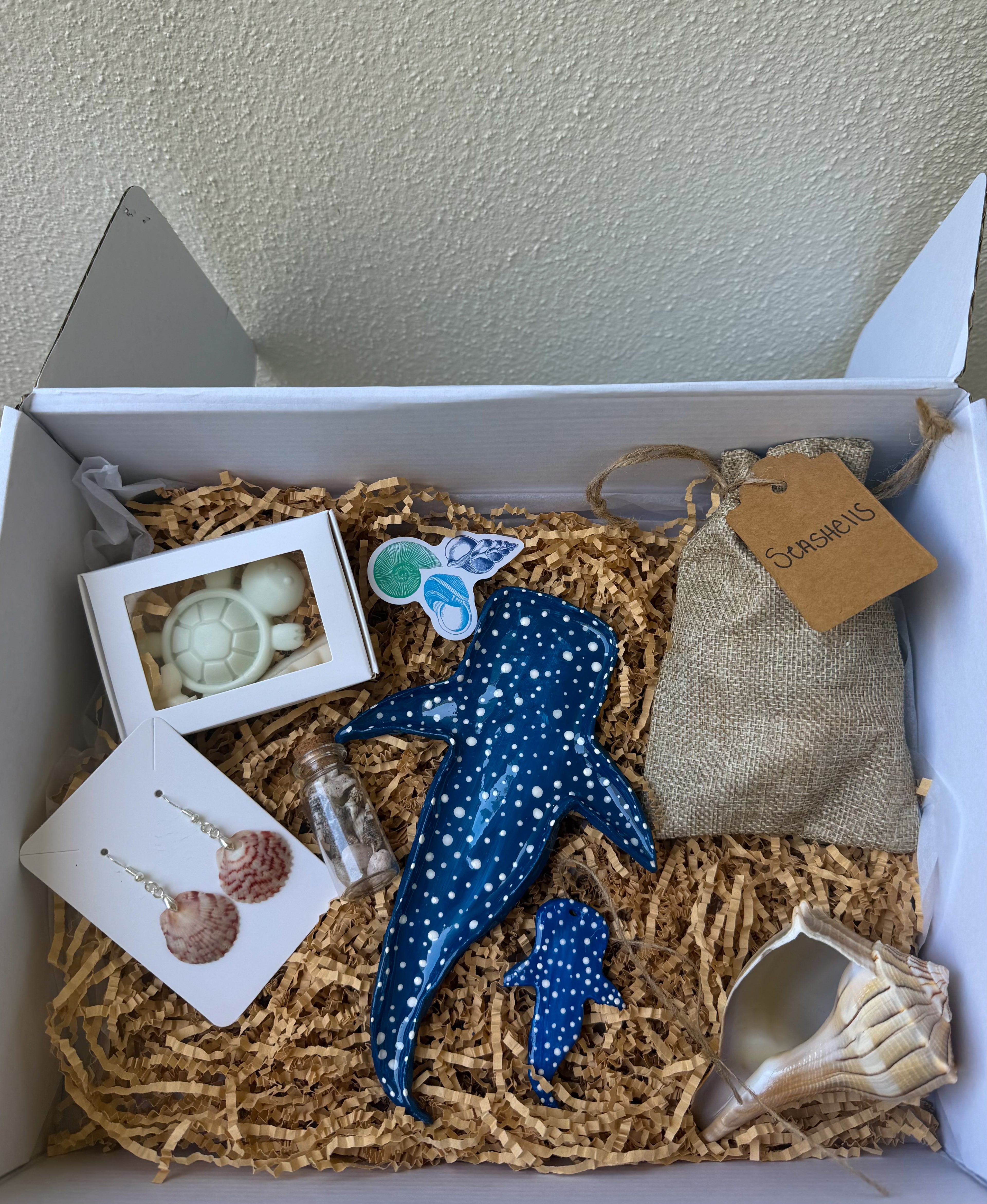 St. Pete Coastal Collection Box