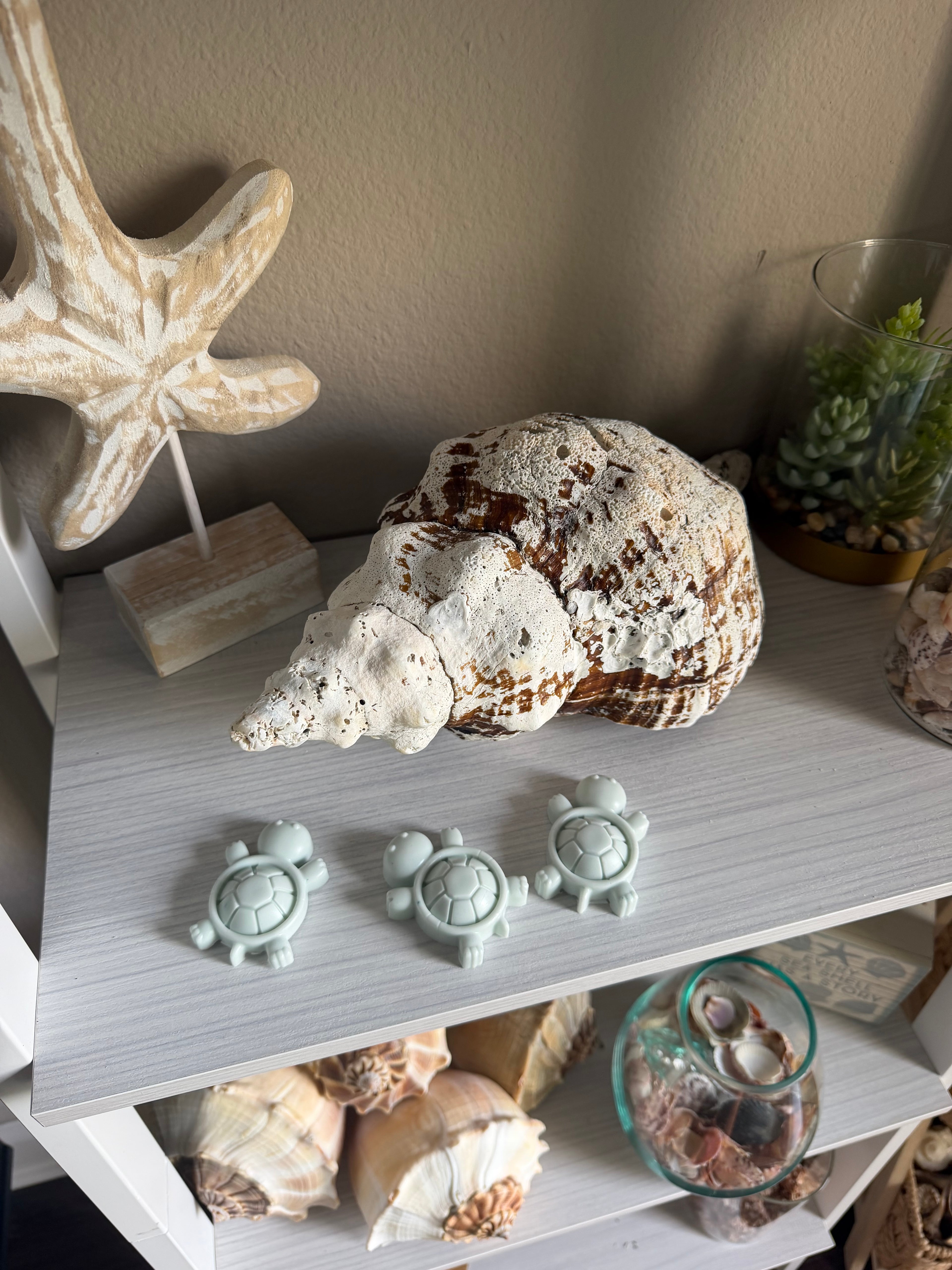 Mini Sea Turtle Soap Set - Made With Coconut Oil & Shea Butter