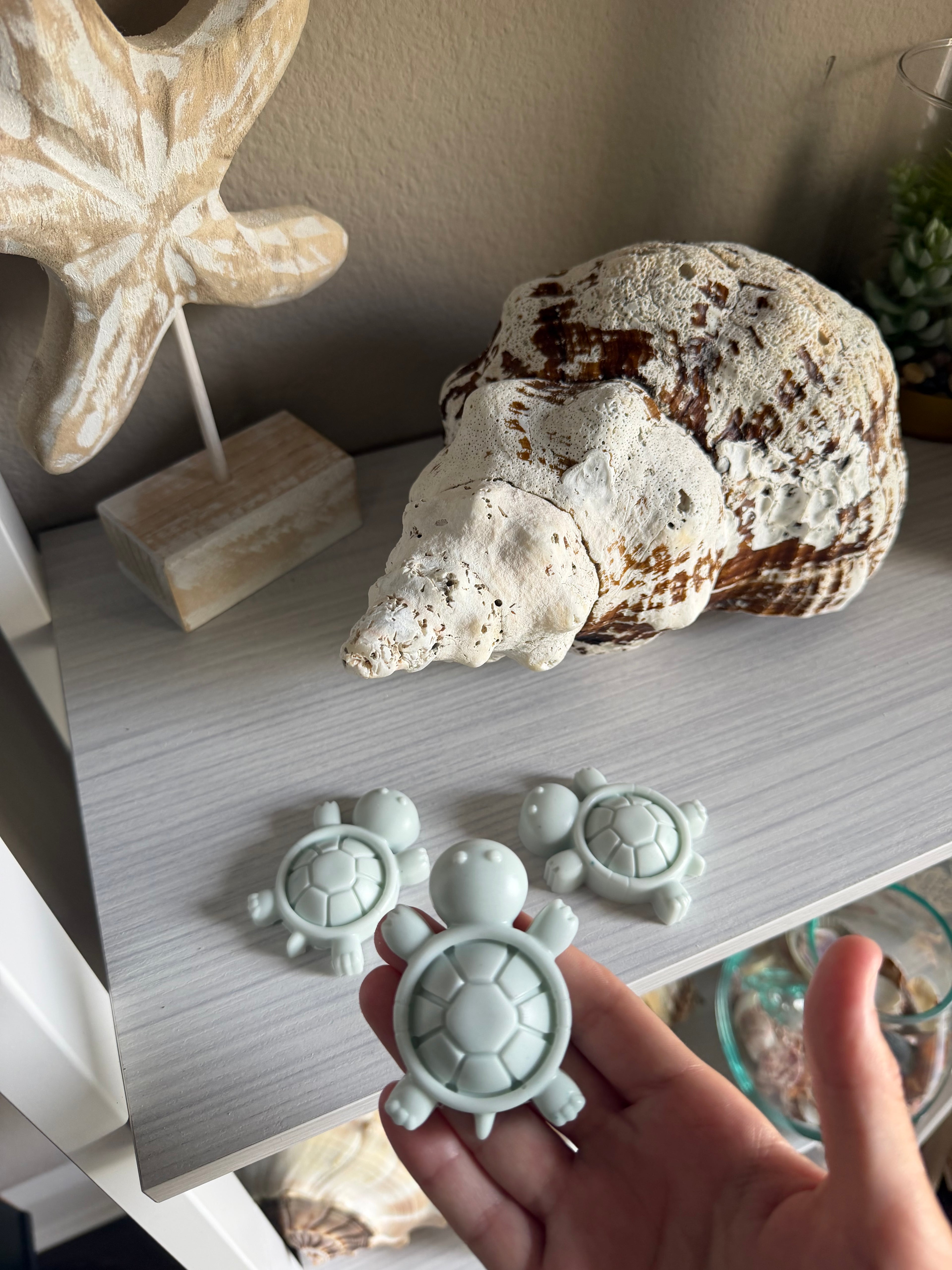 St. Pete Coastal Collection Box